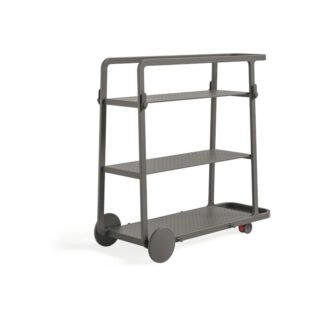 TimskaKolicaRS-1